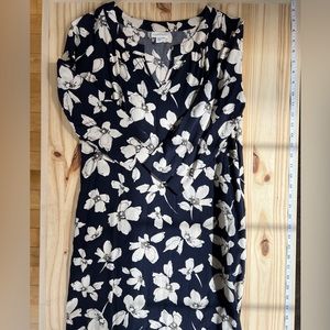 J.Jill blue dress with ivory flowers.  Super comfy.